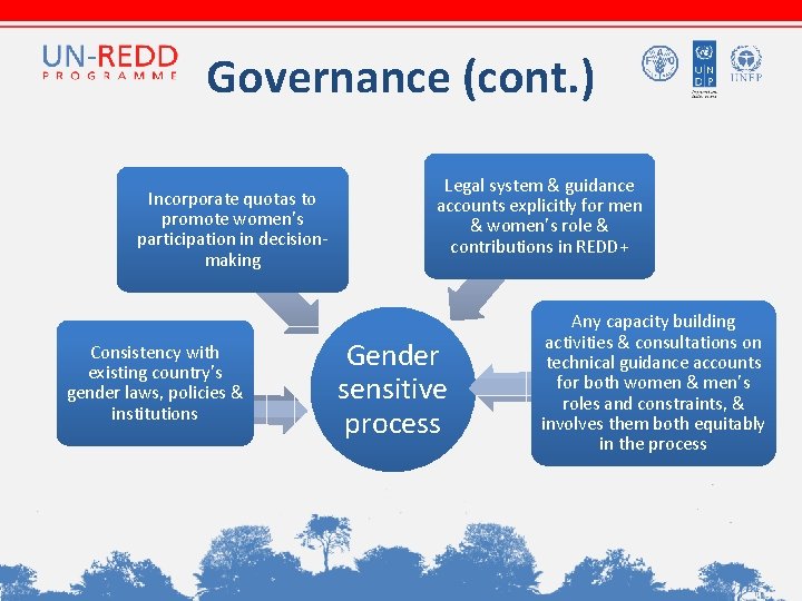 Governance (cont. ) Incorporate quotas to promote women’s participation in decisionmaking Consistency with existing Governance (cont. ) Incorporate quotas to promote women’s participation in decisionmaking Consistency with existing