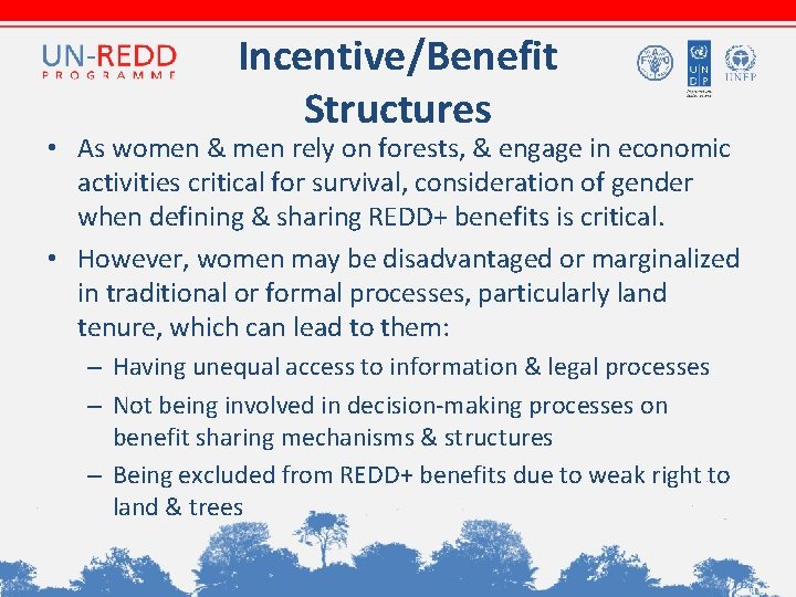 Incentive/Benefit Structures • As women & men rely on forests, & engage in economic Incentive/Benefit Structures • As women & men rely on forests, & engage in economic