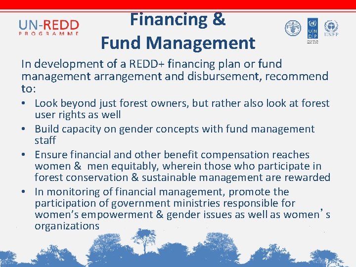 Financing & Fund Management In development of a REDD+ financing plan or fund management Financing & Fund Management In development of a REDD+ financing plan or fund management