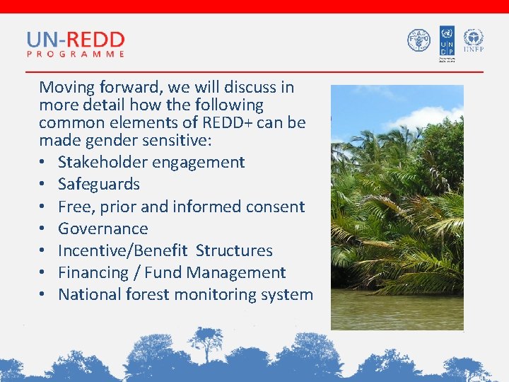 Moving forward, we will discuss in more detail how the following common elements of Moving forward, we will discuss in more detail how the following common elements of