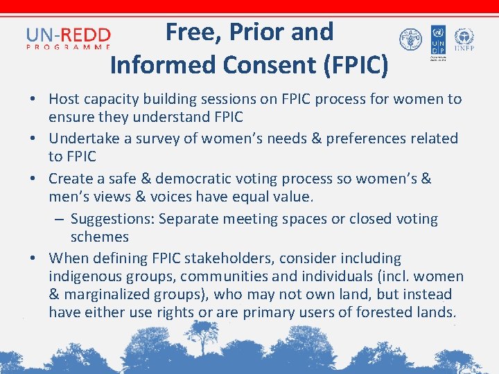Free, Prior and Informed Consent (FPIC) • Host capacity building sessions on FPIC process Free, Prior and Informed Consent (FPIC) • Host capacity building sessions on FPIC process