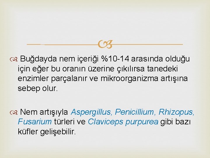  Buğdayda nem içeriği %10 -14 arasında olduğu için eğer bu oranın üzerine çıkılırsa