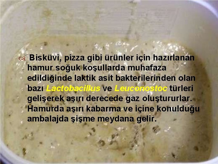  Bisküvi, pizza gibi ürünler için hazırlanan hamur soğuk koşullarda muhafaza edildiğinde laktik asit