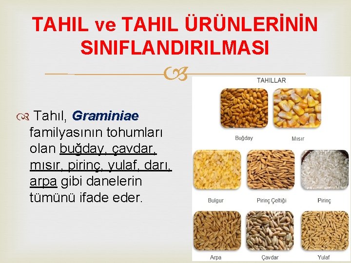 TAHIL ve TAHIL ÜRÜNLERİNİN SINIFLANDIRILMASI Tahıl, Graminiae familyasının tohumları olan buğday, çavdar, mısır, pirinç,