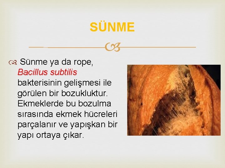 SÜNME Sünme ya da rope, Bacillus subtilis bakterisinin gelişmesi ile görülen bir bozukluktur. Ekmeklerde