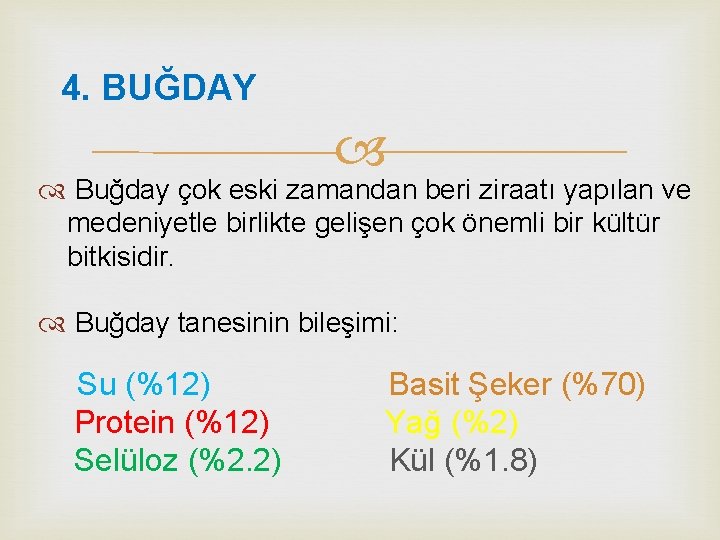 4. BUĞDAY Buğday çok eski zamandan beri ziraatı yapılan ve medeniyetle birlikte gelişen çok