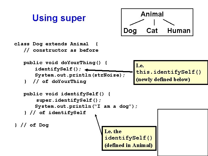 Animal Using super Dog Cat Human class Dog extends Animal { // constructor as