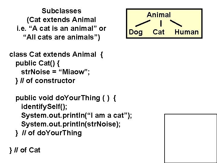 Subclasses (Cat extends Animal i. e. “A cat is an animal” or “All cats