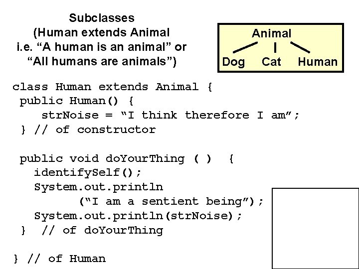 Subclasses (Human extends Animal i. e. “A human is an animal” or “All humans