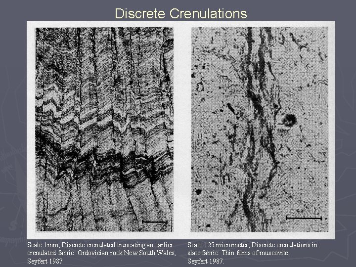 Discrete Crenulations Scale 1 mm; Discrete crenulated truncating an earlier crenulated fabric. Ordovician rock