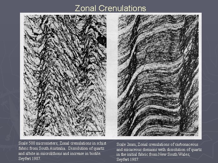 Zonal Crenulations Scale 500 micrometers; Zonal crenulations in schist fabric from South Australia. Dissolution