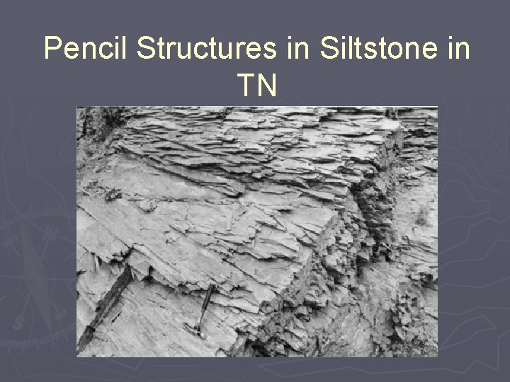 Pencil Structures in Siltstone in TN 