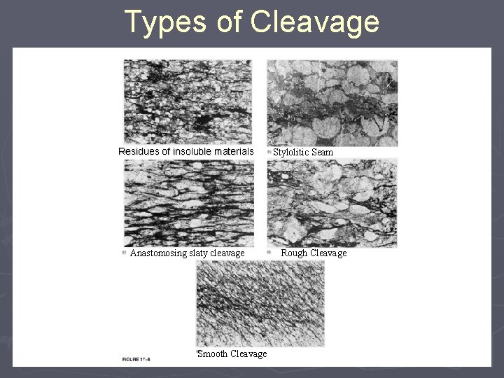 Types of Cleavage Residues of insoluble materials Anastomosing slaty cleavage Smooth Cleavage Stylolitic Seam