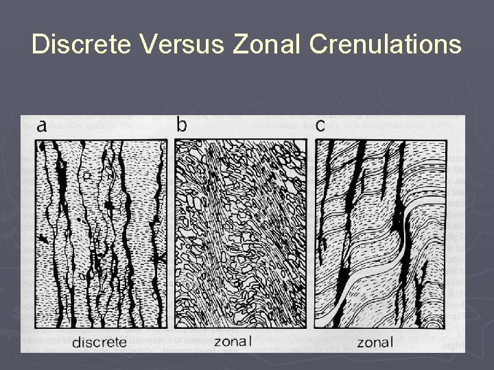 Discrete Versus Zonal Crenulations 