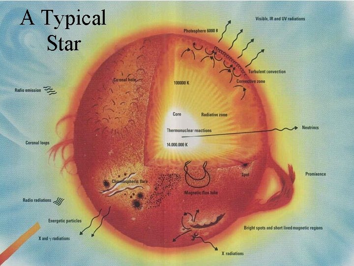 A Typical Star 