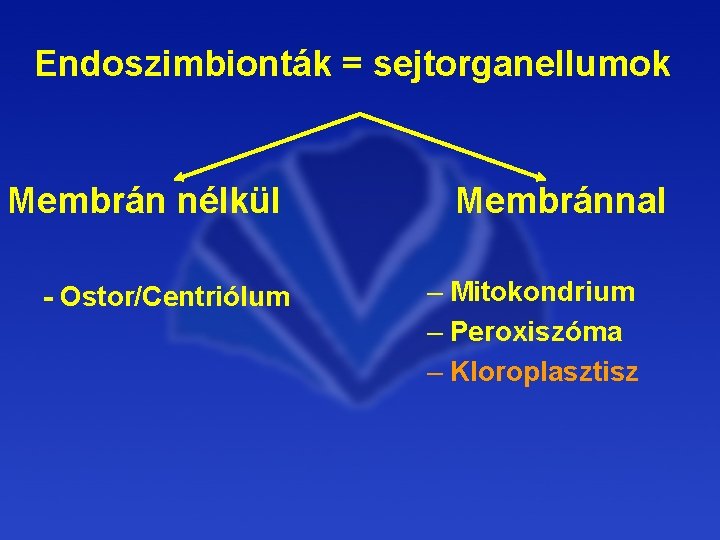 parazita mitokondrium nátrium tioszulfát tisztítás a parazitáktól