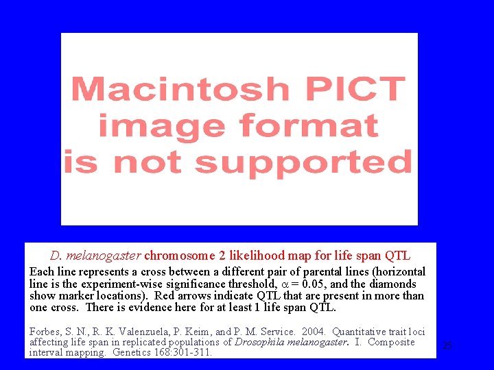 D. melanogaster chromosome 2 likelihood map for life span QTL Each line represents a