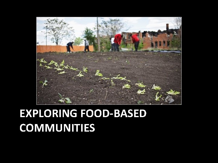 EXPLORING FOOD-BASED COMMUNITIES 