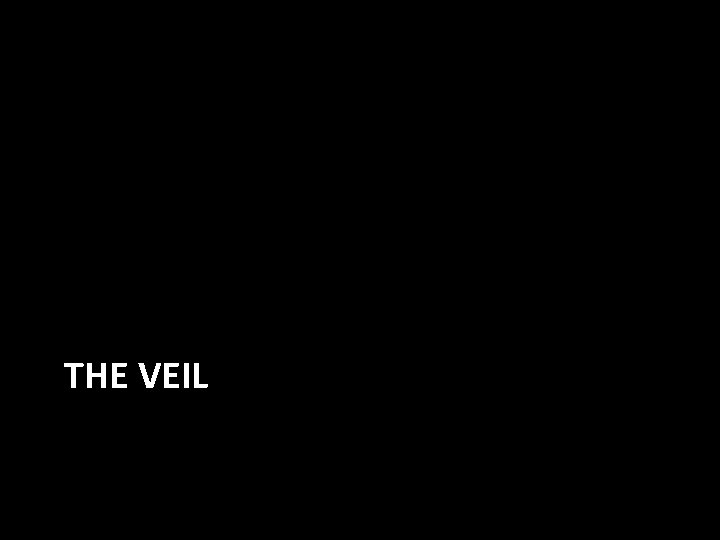 THE VEIL 