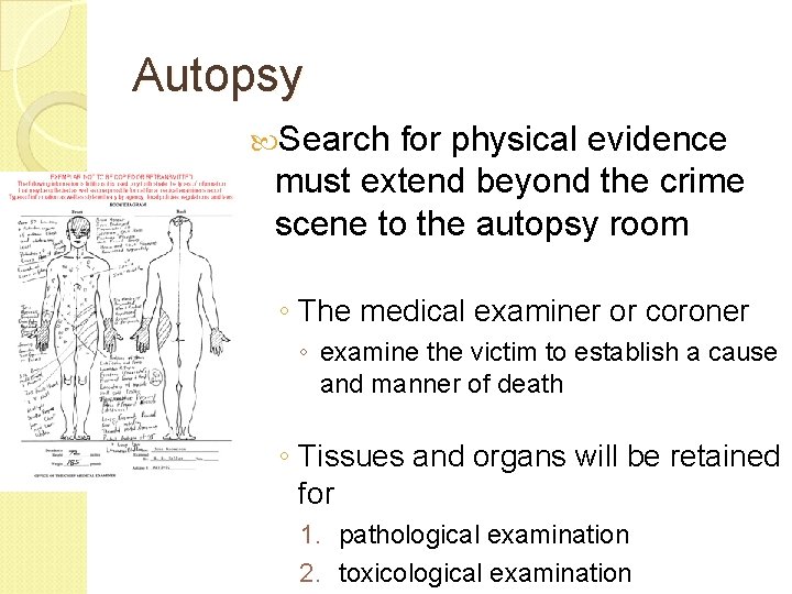 Autopsy Search for physical evidence must extend beyond the crime scene to the autopsy Autopsy Search for physical evidence must extend beyond the crime scene to the autopsy