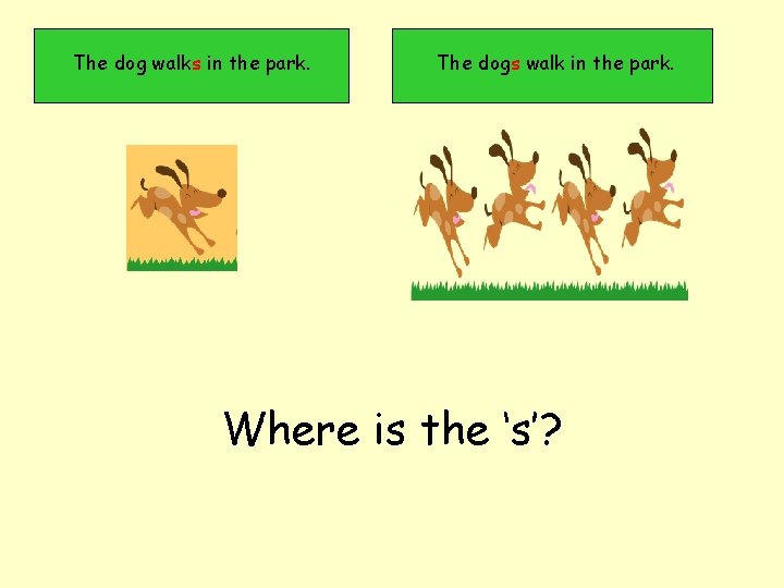 The dog walks in the park. The dogs walk in the park. Where is