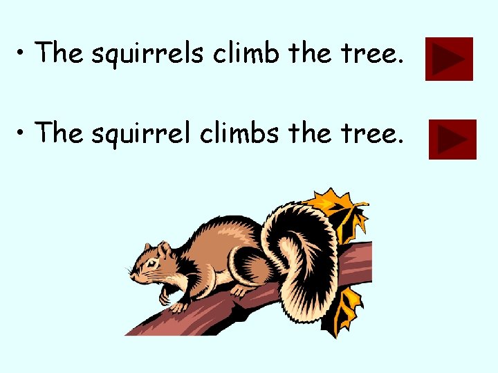  • The squirrels climb the tree. • The squirrel climbs the tree. 