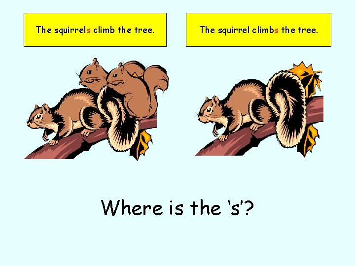 The squirrels climb the tree. The squirrel climbs the tree. Where is the ‘s’?