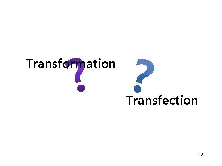Transformation Transfection 18 