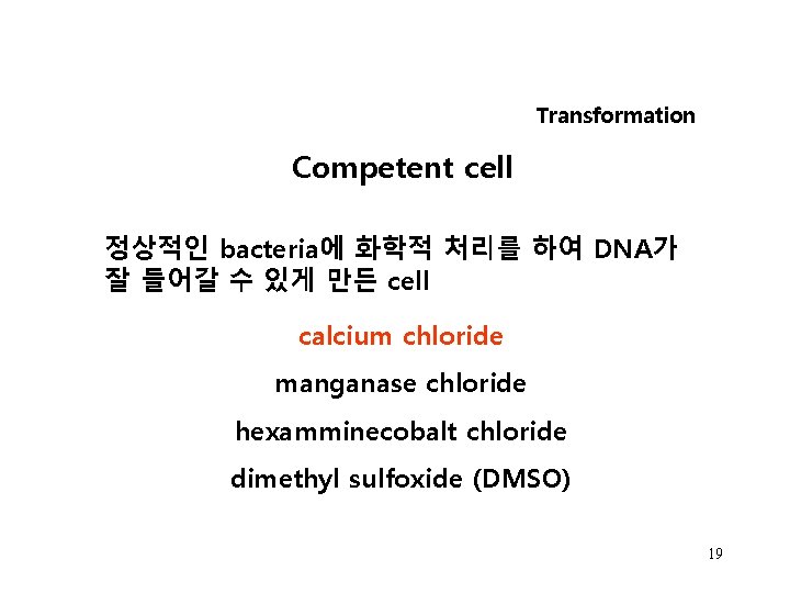 Transformation Competent cell 정상적인 bacteria에 화학적 처리를 하여 DNA가 잘 들어갈 수 있게 만든