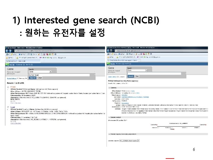 1) Interested gene search (NCBI) : 원하는 유전자를 설정 6 