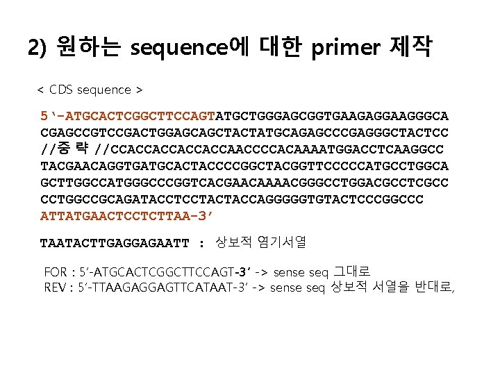 2) 원하는 sequence에 대한 primer 제작 < CDS sequence > 5‘-ATGCACTCGGCTTCCAGTATGCTGGGAGCGGTGAAGAGGAAGGGCA CGAGCCGTCCGACTGGAGCAGCTACTATGCAGAGCCCGAGGGCTACTCC //중 략