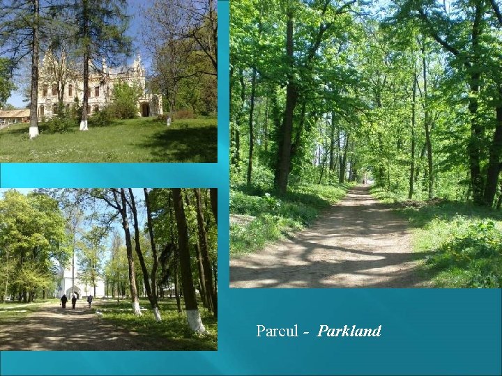 Parcul - Parkland 