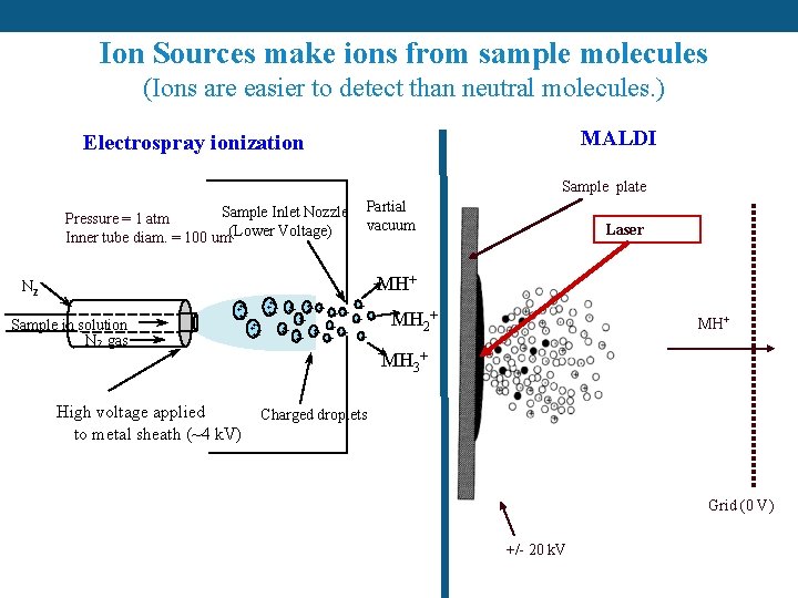 Ion Sources make ions from sample molecules (Ions are easier to detect than neutral