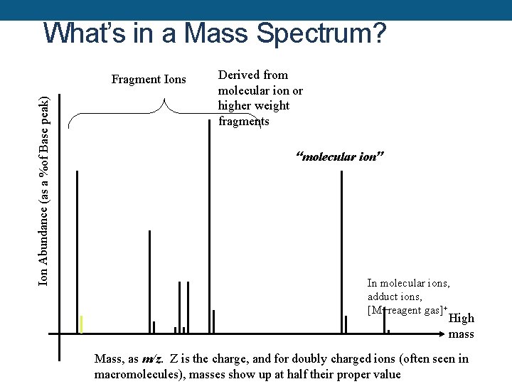 What’s in a Mass Spectrum? Ion Abundance (as a %of Base peak) Fragment Ions