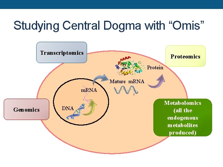 Studying Central Dogma with “Omis” Transcriptomics Protein Mature m. RNA Genomics DNA Metabolomics (all