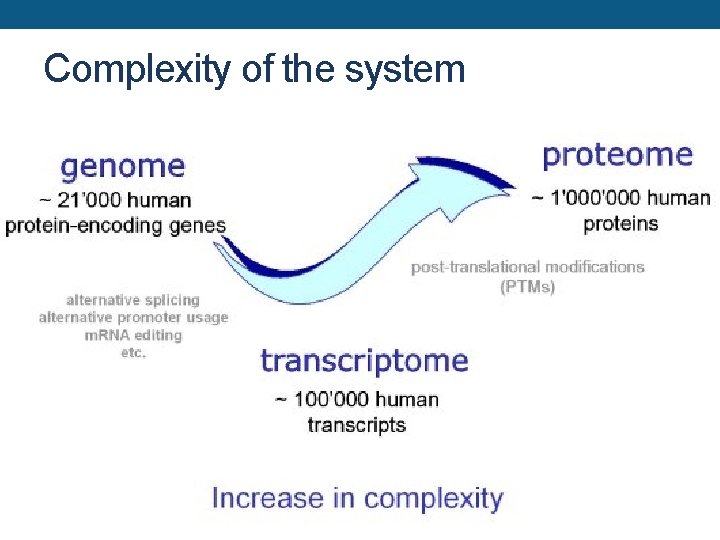 Complexity of the system 