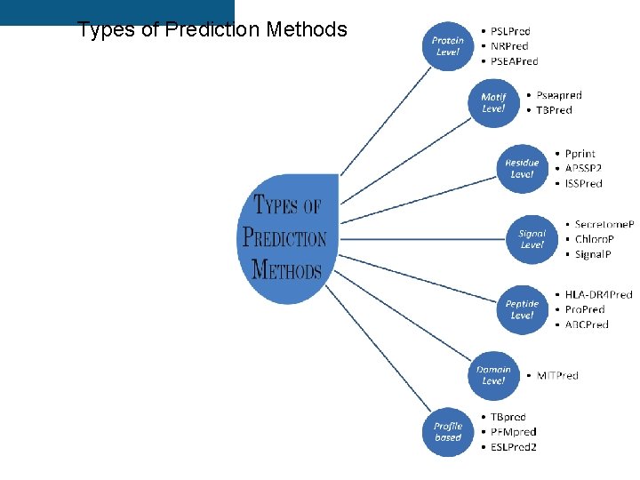Types of Prediction Methods 