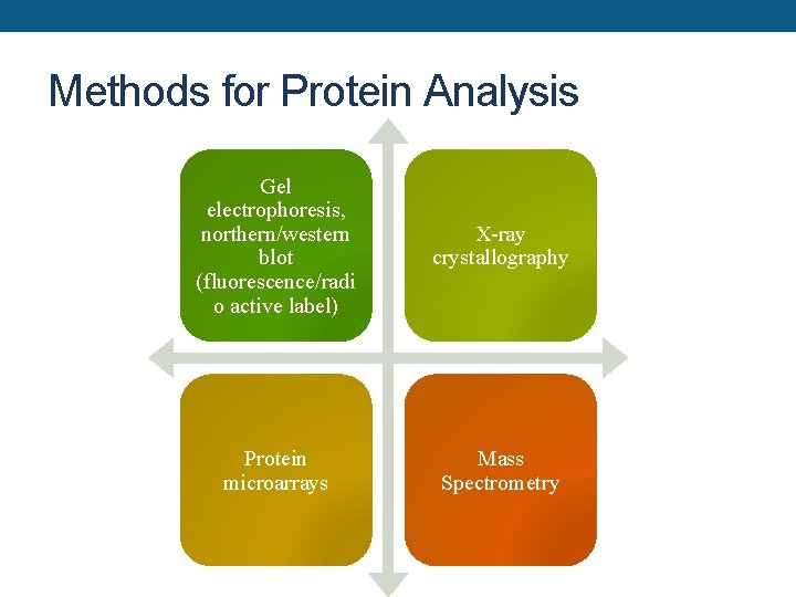 Methods for Protein Analysis Gel electrophoresis, northern/western blot (fluorescence/radi o active label) X-ray crystallography