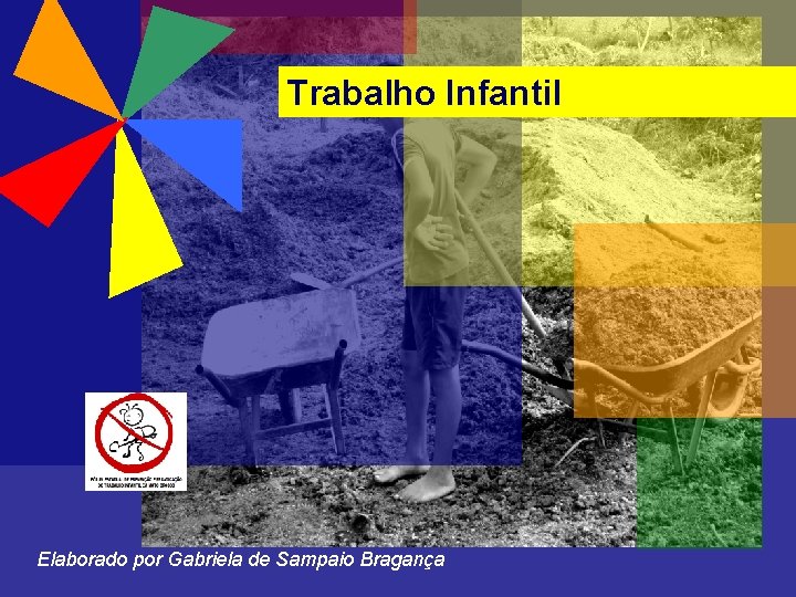 Trabalho Infantil Elaborado por Gabriela de Sampaio Bragança 