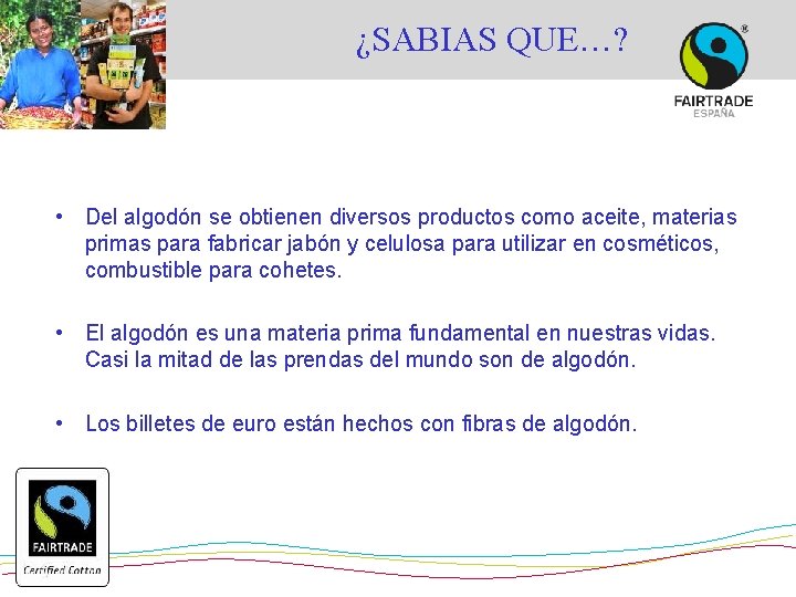 ¿SABIAS QUE…? • Del algodón se obtienen diversos productos como aceite, materias primas para