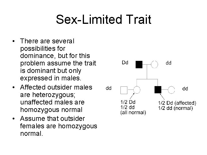 Sex-Limited Trait • There are several possibilities for dominance, but for this problem assume