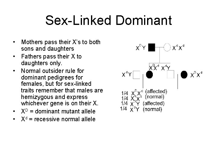 Sex-Linked Dominant • Mothers pass their X’s to both sons and daughters • Fathers
