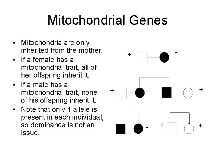 Mitochondrial Genes • Mitochondria are only inherited from the mother. • If a female