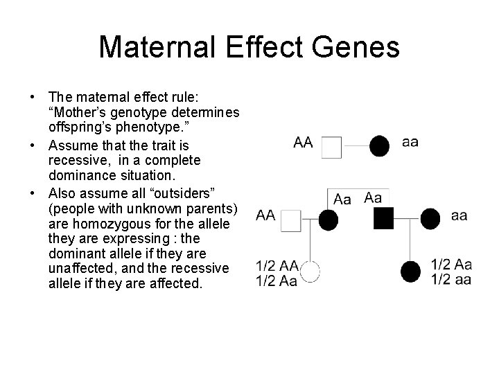 Maternal Effect Genes • The maternal effect rule: “Mother’s genotype determines offspring’s phenotype. ”