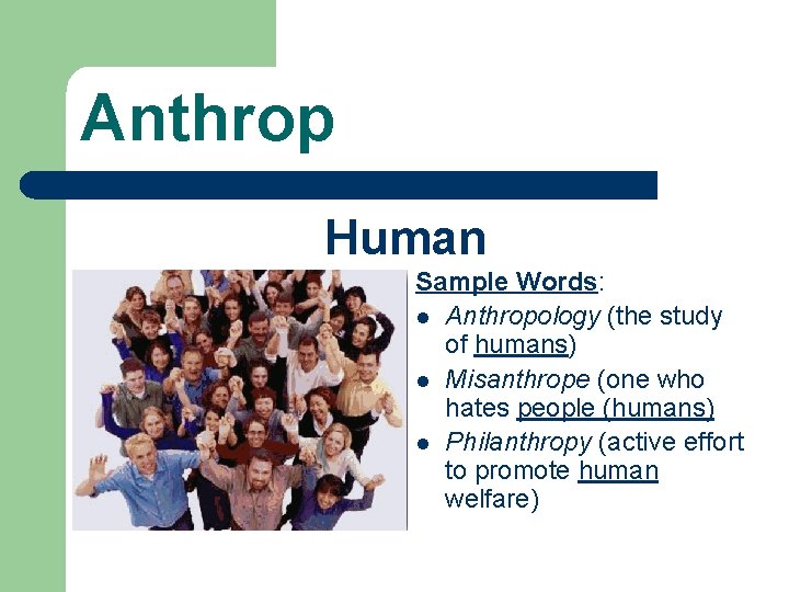 Anthrop Human Sample Words: l Anthropology (the study of humans) l Misanthrope (one who