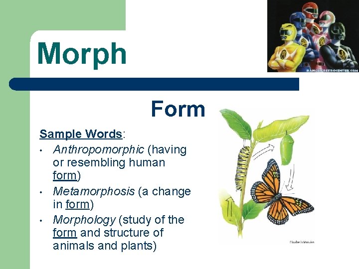 Morph Form Sample Words: • Anthropomorphic (having or resembling human form) • Metamorphosis (a