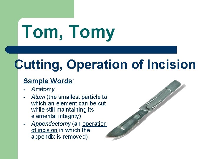 Tom, Tomy Cutting, Operation of Incision Sample Words: • • • Anatomy Atom (the