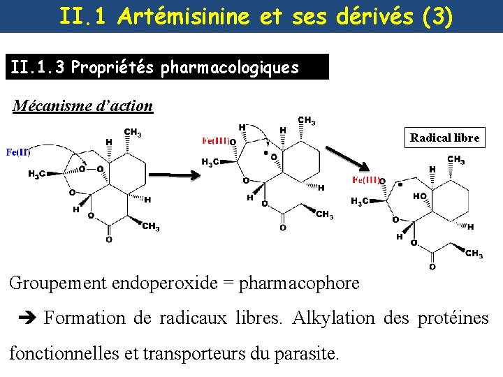 II. 1 Artémisinine et ses dérivés (3) II. 1. 3 Propriétés pharmacologiques Mécanisme d’action