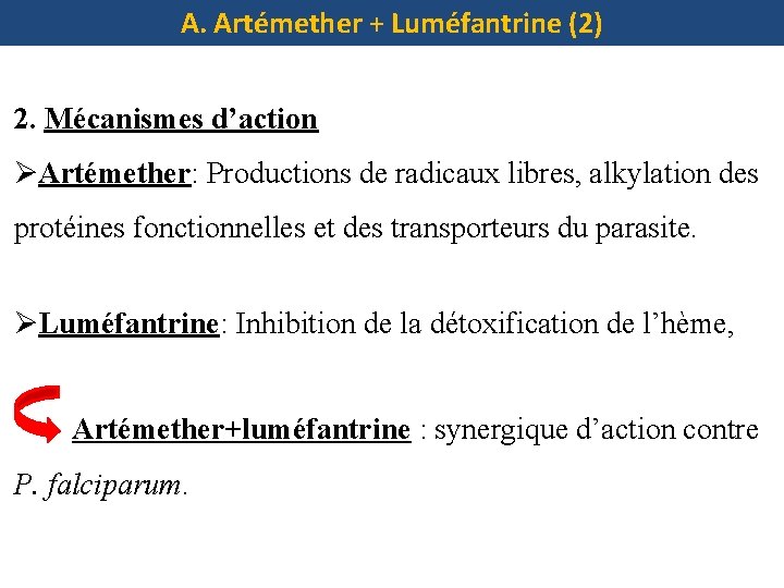 A. Artémether + Luméfantrine (2) 2. Mécanismes d’action ØArtémether: Productions de radicaux libres, alkylation