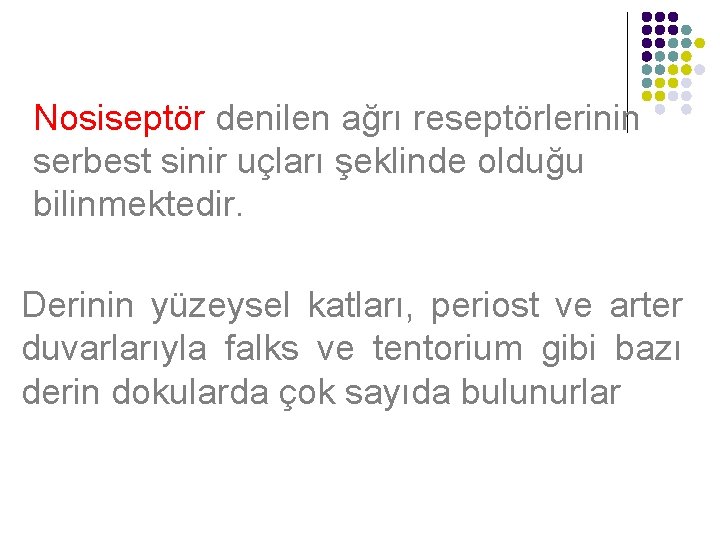 Nosiseptör denilen ağrı reseptörlerinin serbest sinir uçları şeklinde olduğu bilinmektedir. Derinin yüzeysel katları, periost